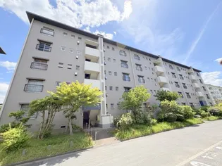 中登美第3団地C08号棟の画像