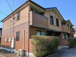 オリーブBの画像