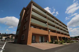 エルファロの画像