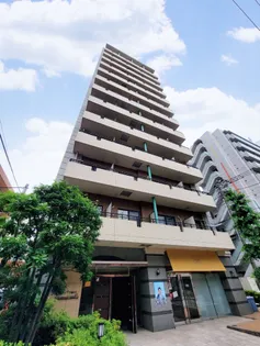 DORMOUSE CASTLEの画像