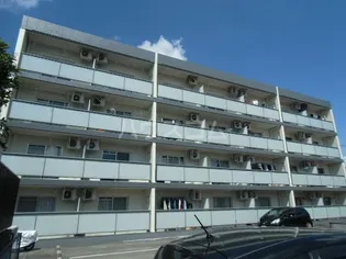 ソフィアライトの画像
