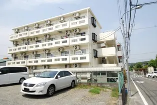 ラベンダーライトの画像