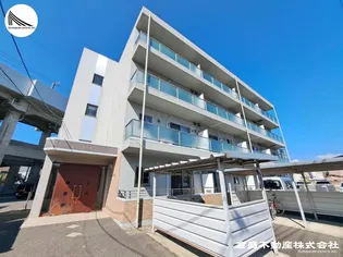 セリージャ デ トーアの画像