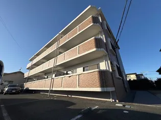 ピュアネスの画像
