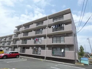メゾンルミエールの画像