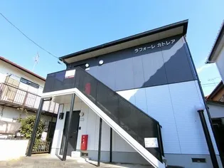 ラフォーレカトレアの画像