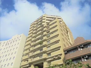 ライオンズタワー安里の画像