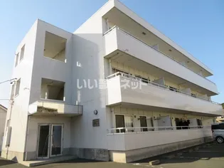 リバーウエスト壱番館【3階】の外観