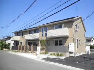 カーサーカトレアの画像