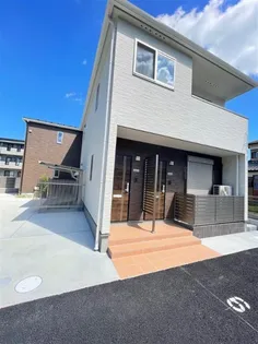 オリーブリーフの画像