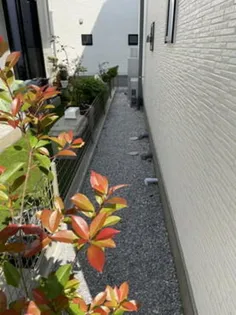 東京都国立市泉3【一戸建】の外観