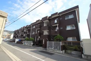 BAUHAUS皆賀の画像