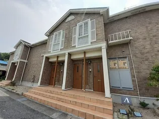 プラシードAの画像