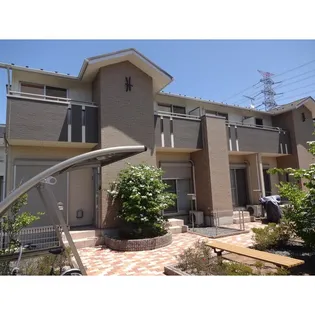 リュー榧の実 Aの画像