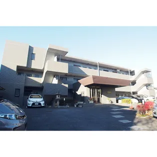 BROWNIE HILLの画像