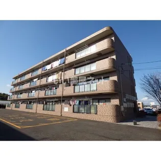 アマ デトワールの画像