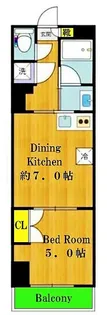 Evergreen【4階】の間取り
