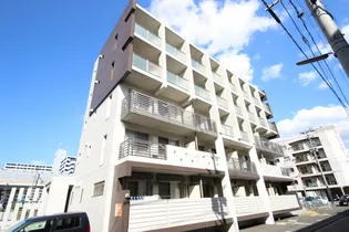 プラチナスタイルの画像