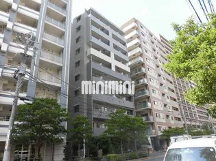 SOSHIA NISIKASAIの画像