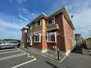 ローズマリーの画像