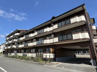 第二ドゥエルなかせいの画像