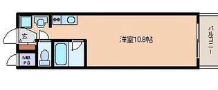 第25エルザビル【7階】の間取り