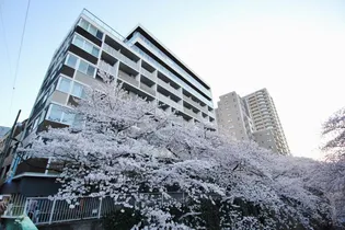 アールコート早稲田【1階】の外観