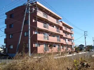 レジェン清水壱号館の画像