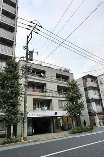 エーデルワイスの画像