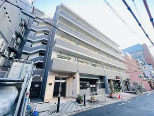 ステラムの画像