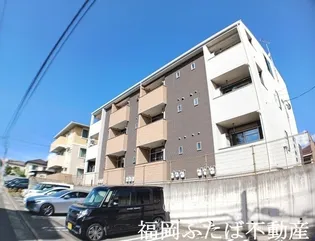 ファイン ネクストの画像