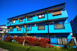 エレバシオンの画像