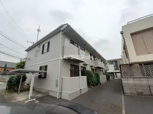 ヒルズカツラギの画像