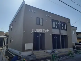 シャイングレースの画像