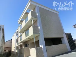 マ シェリ孫の画像