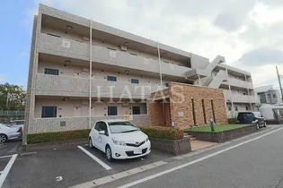 コモンガル小垣江の画像