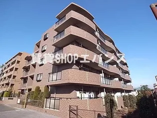 サニードエル 2の画像