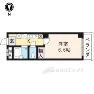 Amare亀乃子【3階】の間取り