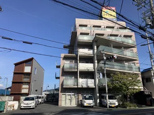 メゾンエルセラーン【6階】の外観