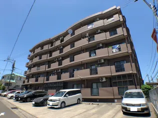 どりーむ綾の画像