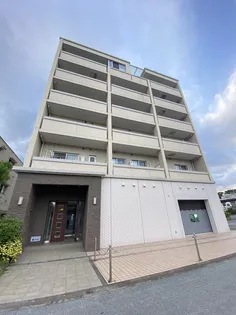 フィオリトゥーラの画像