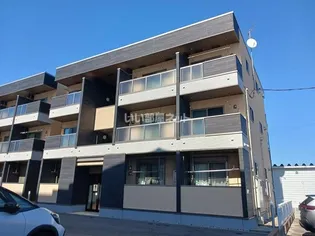 ジャスミンBの画像