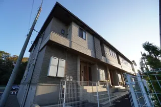 ジャスミンBの画像