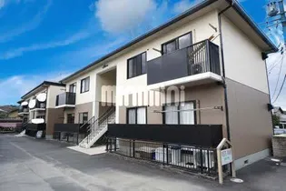 WHITE WOOD A,Bの画像