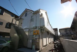 茉莉花の画像