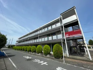 M'S ISHIHARAの画像