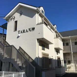 神奈川県藤沢市天神町2【アパート】の外観