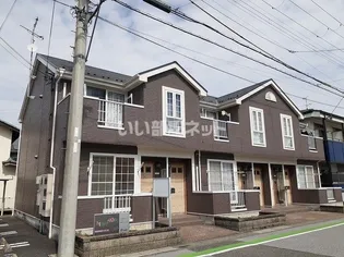 ミニヨンBの画像