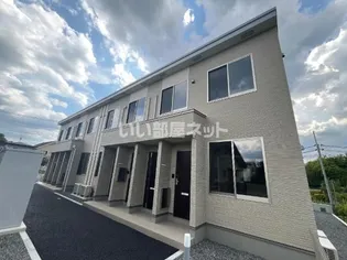 ウッドソレルの画像