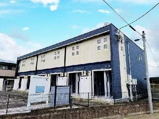 レオネクストウェリナの画像